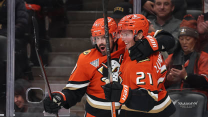 不仅仅因为 不仅仅因为